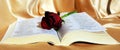 Beautiful red rose, bible pages, symbol of love, passion, Valentine image