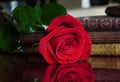 Nice red rose and books on a miror surface