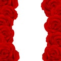 Beautiful Red Rose Border - Rosa isolated on White Background. Valentine Day. Vector Illustration.