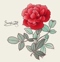 Beautiful red rose card