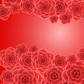 Beautiful red rose flower background Royalty Free Stock Photo