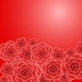 Beautiful red rose flower background Royalty Free Stock Photo