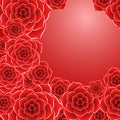 Beautiful red rose flower background Royalty Free Stock Photo