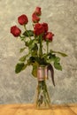 Beautiful red rose in a glass vase,valentine card. Royalty Free Stock Photo