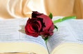 Beautiful red rose, holy bible pages, symbol of love, passion, Valentine image