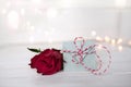 Beautiful red rose with a letter Royalty Free Stock Photo