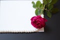 Beautiful red rose with pearls on blank white sheet paper Royalty Free Stock Photo