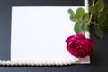 Beautiful red rose with pearls on blank white sheet paper Royalty Free Stock Photo