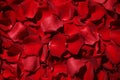 Beautiful red rose petals as background, top view Royalty Free Stock Photo