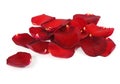 Beautiful red rose petals Royalty Free Stock Photo