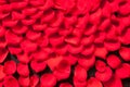 Beautiful red rose petals background Royalty Free Stock Photo