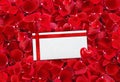 Beautiful red rose petals background and envelop (letter) Royalty Free Stock Photo