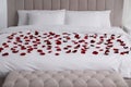 Beautiful red rose petals on bed in room Royalty Free Stock Photo