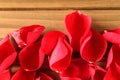 Beautiful red rose petals scattered on wooden background Royalty Free Stock Photo