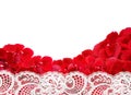 Beautiful red rose petals and white lace on white background Royalty Free Stock Photo