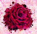 Beautiful red rose pop art watercolor