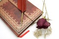 Antique Book with Fountain Pen and Dried Roses Royalty Free Stock Photo