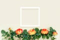 Beautiful red rose with a white frame on a delicate yellow background Royalty Free Stock Photo