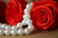 Beautiful red roses lying ona woodentable a white pearl necklace. Macro.