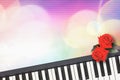 Beautiful red roses on piano keyboard with colorful romance. Royalty Free Stock Photo