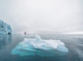 Beautiful red sailboat in the arctic next to a massive iceberg showing the scale. Cruising among floating icebergs in