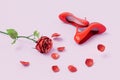 beautiful red shoes next to a red rose with petals falling on the pastel background. 3D render Royalty Free Stock Photo