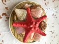 A beautiful red starfish lies in a brown plate with seashells, ornaments on a white cloth background Royalty Free Stock Photo