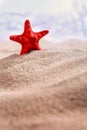 Beautiful red starfish standing in the sand on the beach. Selective focus Royalty Free Stock Photo