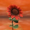 Beautiful red sunflower - 3D render Royalty Free Stock Photo