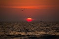 Beautiful red sunset with birds and ships on the Goa beach, India Royalty Free Stock Photo