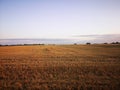Sunset in fields of cut grain Royalty Free Stock Photo