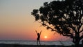 .......Beautiful red sunset on the seashore against the background of a tree in the bansai style. Royalty Free Stock Photo