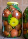 Beautiful red tomatoes and green spices in a glass jar, canned vegetables, tomato pickling, winter products, healthy food,