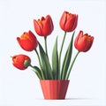 Beautiful red tulip flower in plant pot on white background Royalty Free Stock Photo