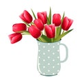 Beautiful red tulips in a blue jug. Bouquet of cute spring flowers in vase isolated on white background. Royalty Free Stock Photo