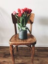 Beautiful red tulips in stylish vase on wooden rustic chair in home. Hello spring concept. Countryside living. Modern rural still Royalty Free Stock Photo