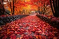 beautiful red and yellow leaves on the path Autumn park path Red leaves, romantic mood