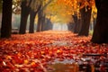 beautiful red and yellow leaves on the path Autumn park path Red leaves, romantic mood