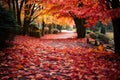 beautiful red and yellow leaves on the path Autumn park path Red leaves, romantic mood