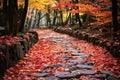 beautiful red and yellow leaves on the path Autumn park path Red leaves, romantic mood