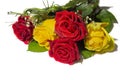 Beautiful red and yellow roses isolated on white Royalty Free Stock Photo