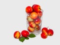 The beautiful red and yellow wet apples are in a transparent glass vase with water drops lie on a white background Royalty Free Stock Photo