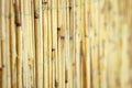 A Beautiful reed fence wall on pyrode background Royalty Free Stock Photo