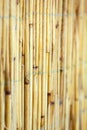 A Beautiful reed fence wall on pyrode background Royalty Free Stock Photo