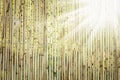 A Beautiful reed fence wall on pyrode background Royalty Free Stock Photo