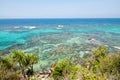 The beautiful reef near Anora beach in Karimunjawa island