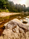 Beautiful refelction of lake water and stones Royalty Free Stock Photo