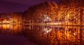 Beautiful reflection forest in Zlatibor lake