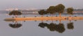 Beautiful reflection on a lake at early morning