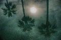 Beautiful reflection of moon and palm trees on water Royalty Free Stock Photo